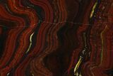 Polished Tiger Iron Stromatolite - Billion Years #129285-1